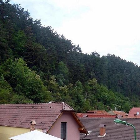 Casa Regal Villa Brasov Ngoại thất bức ảnh
