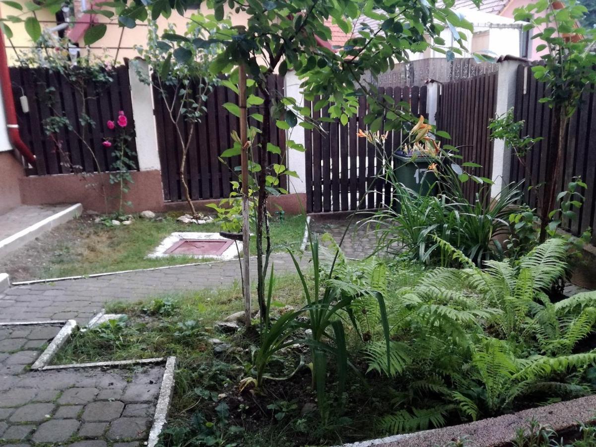 Casa Regal Villa Brasov Ngoại thất bức ảnh