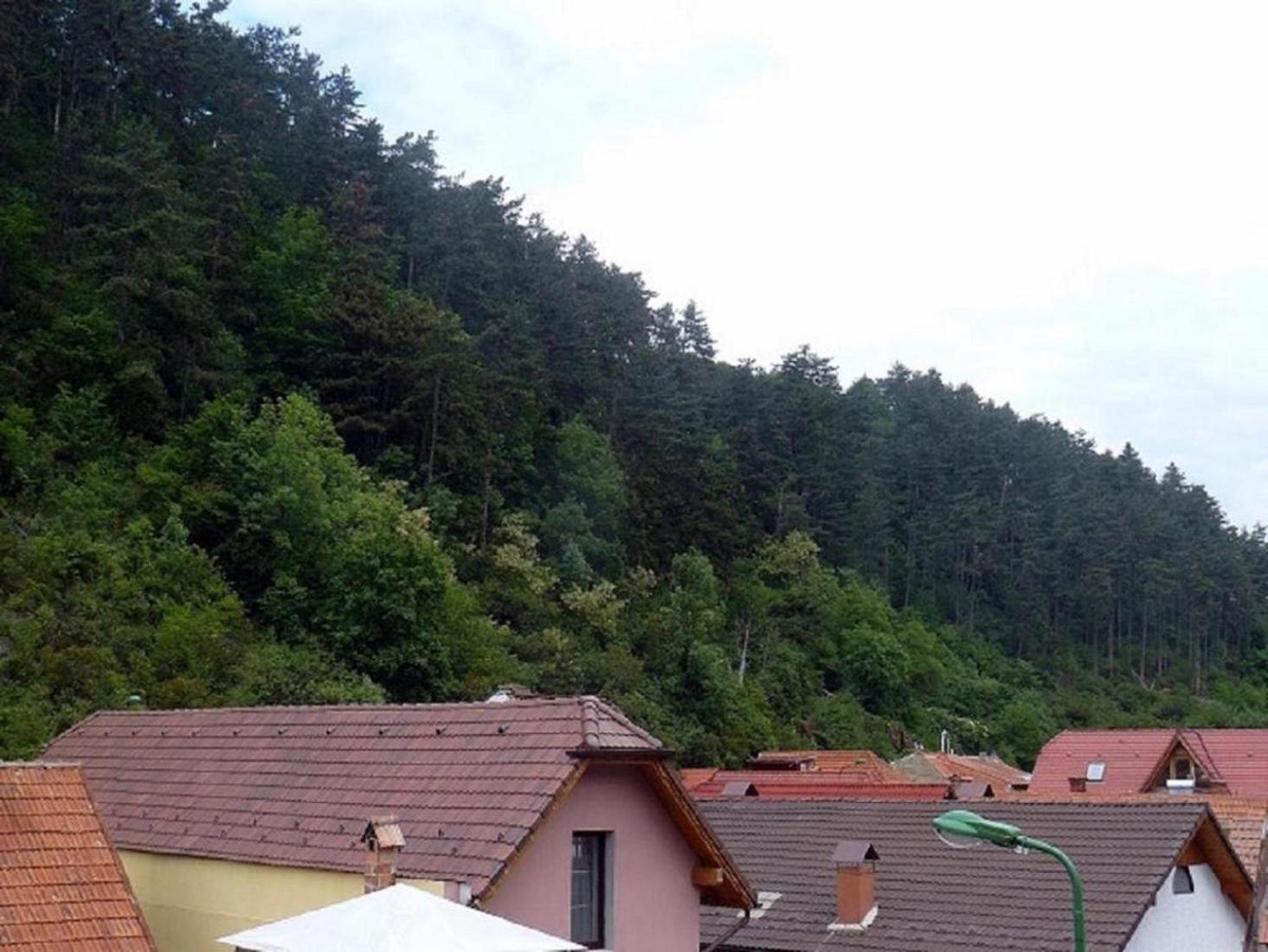 Casa Regal Villa Brasov Ngoại thất bức ảnh
